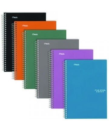 Wirebound Notebook, 2-Subject, Medium/College Rule, Randomly Assorted Cover Color, (80) 9.6 x 6 Sheets