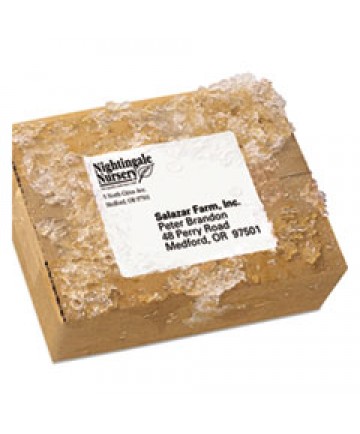 WATERPROOF SHIPPING LABELS WITH TRUEBLOCK AND SURE FEED, LASER PRINTERS, 3.33 X 4, WHITE, 6/SHEET, 50 SHEETS/PACK