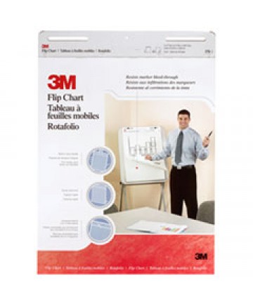 SELF-STICK EASEL PADS, 25 X 30, YELLOW, 30 SHEETS, 2/CARTON