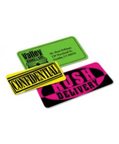HIGH-VISIBILITY PERMANENT LASER ID LABELS, 2 X 4, ASST. NEON, 150/PACK