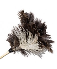 Professional Ostrich Feather Duster, 7" Handle