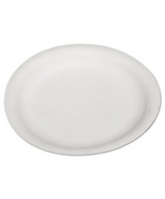 7350002900594, SKILCRAFT, DINNERWARE, PLATES, 9", 500/CARTON